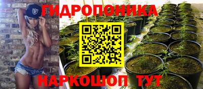 альфа пвп Кимры