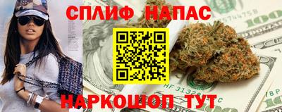 spice Кинель