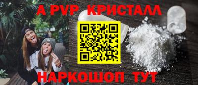 мет Кингисепп