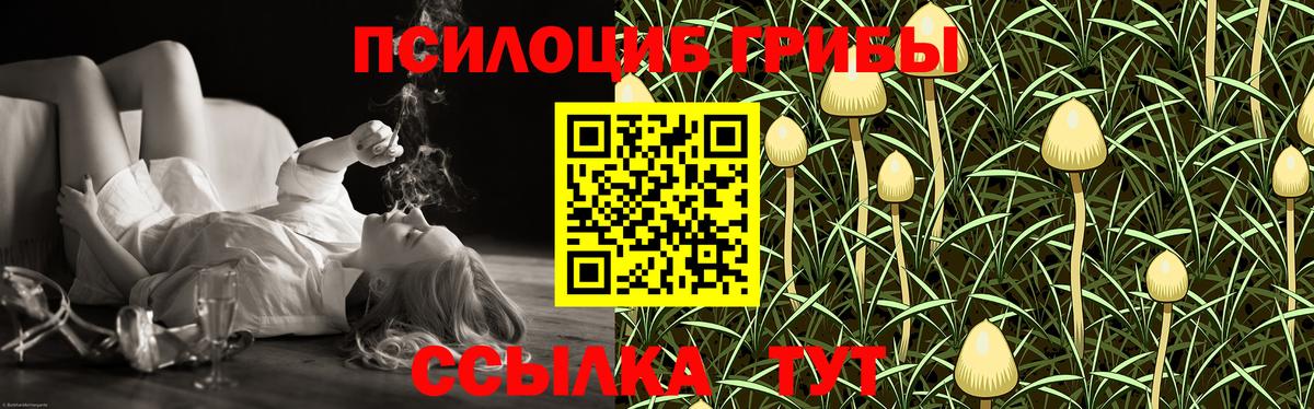 Псилоцибиновые грибы Psilocybe  Галлюциногенные грибы Magic Shrooms  Балтийск  Вход с VPN 