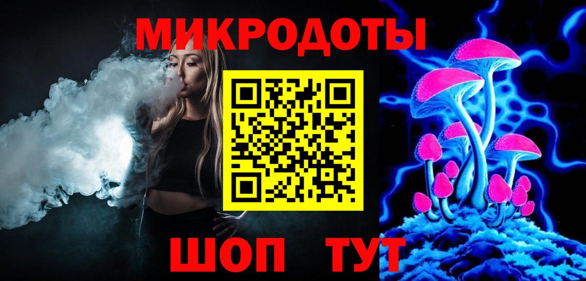 Псилоцибиновые грибы Psilocybine cubensis Балтийск