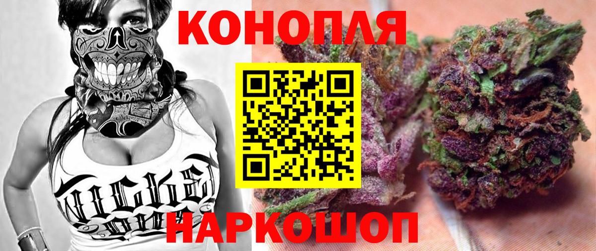 МАРИХУАНА сатива Балтийск